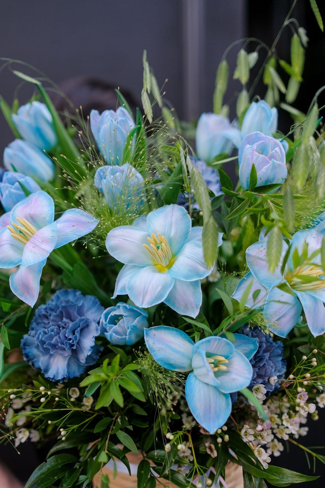 ban sao cua dscf1950jpg