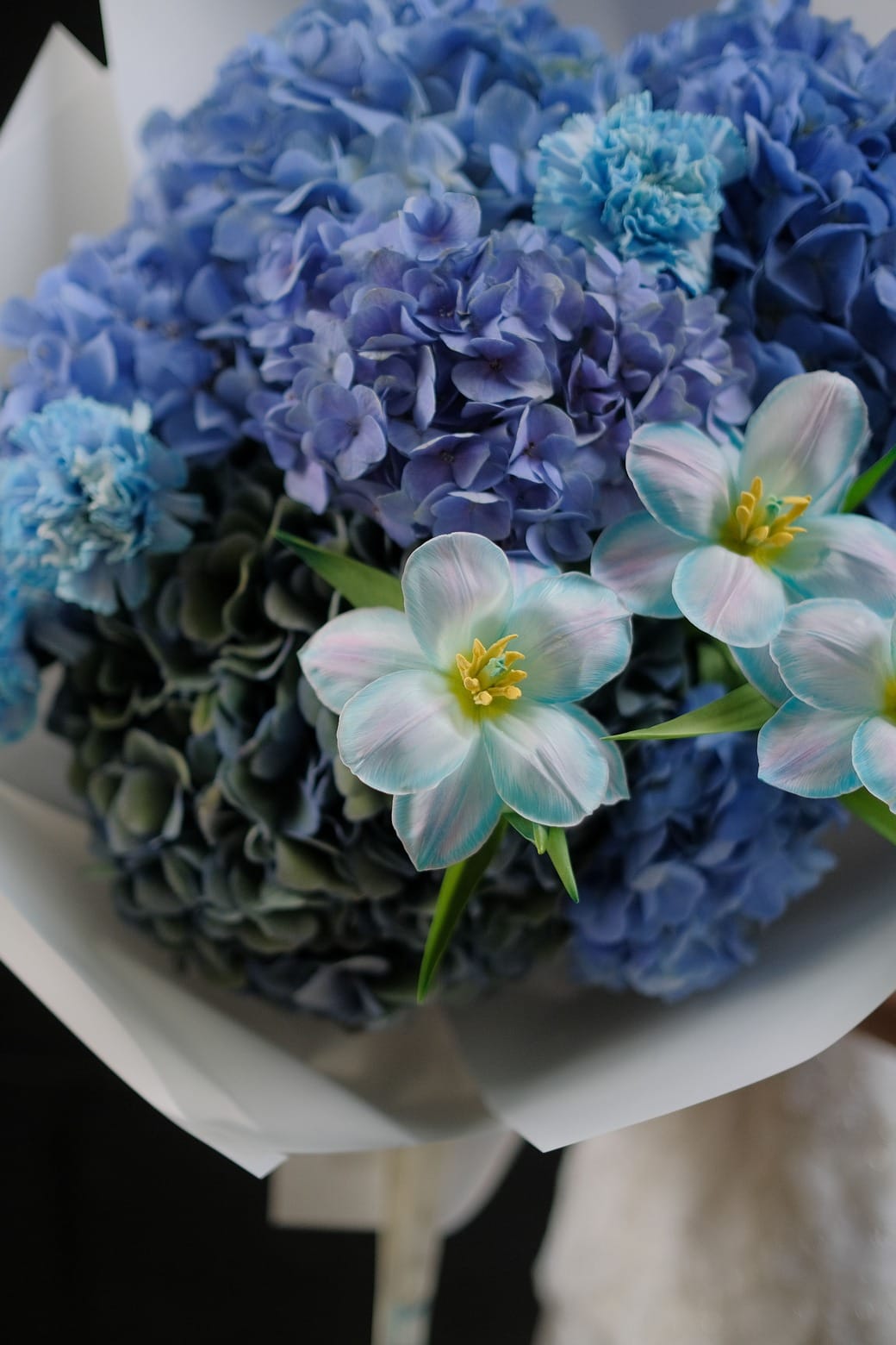 ban sao cua ban sao cua dscf0686jpg