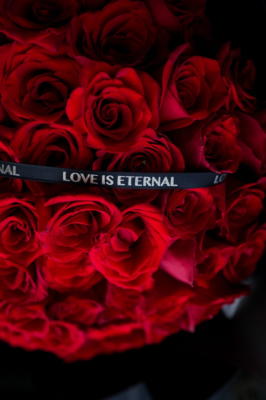 ban sao cua dscf5753jpg