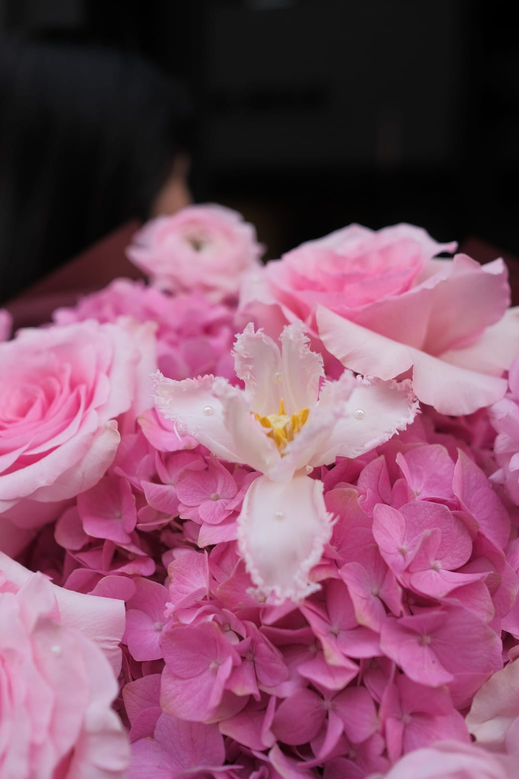 ban sao cua dscf1090jpg