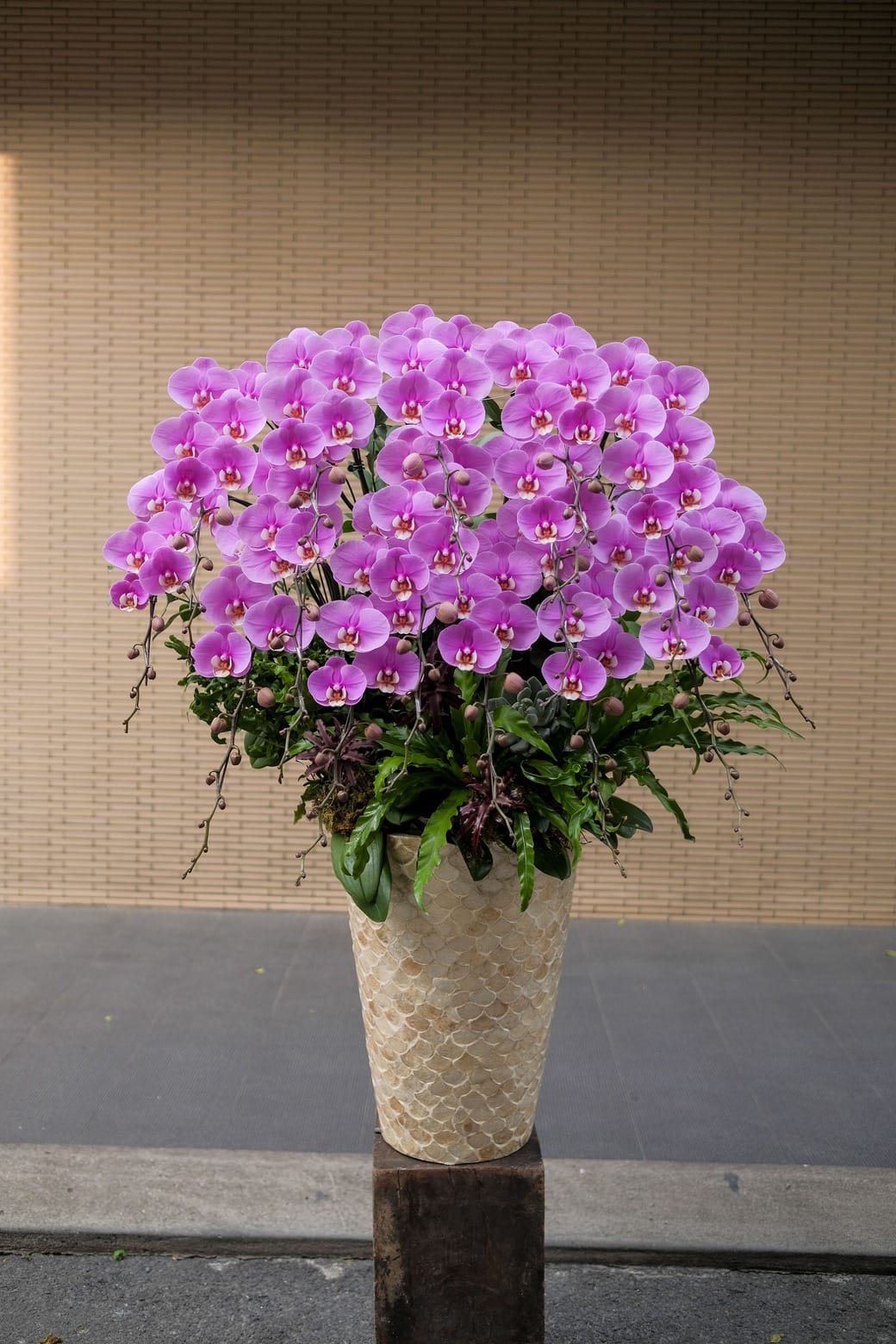 ban sao cua dscf2698jpg