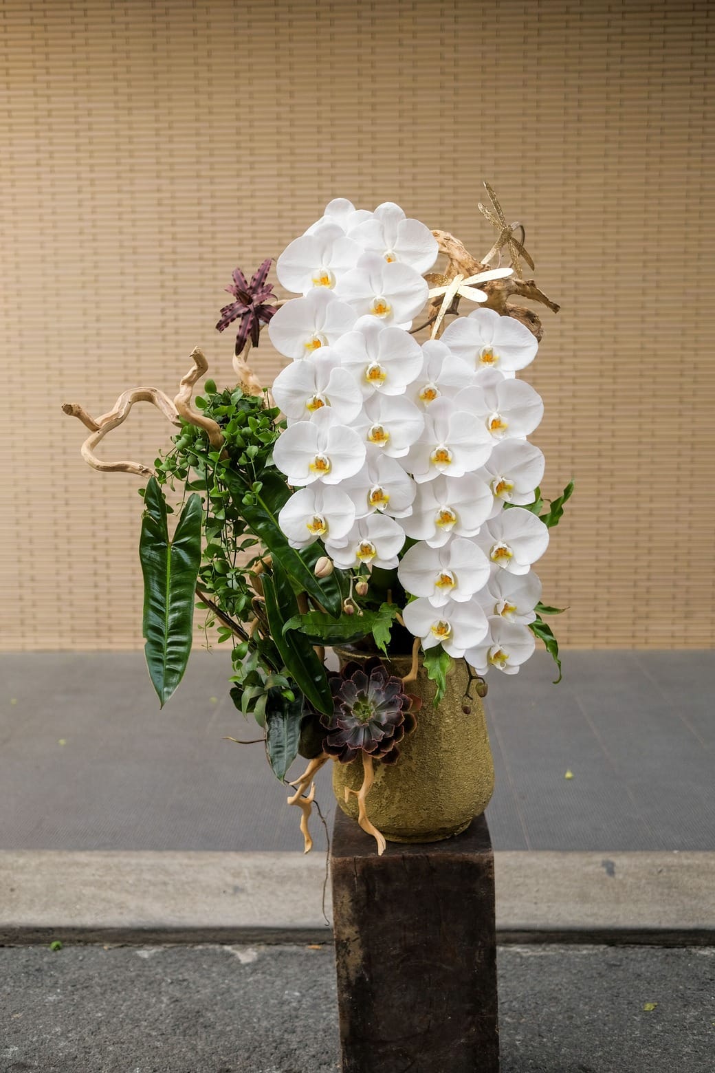 Ngọc Tĩnh Phúc 1