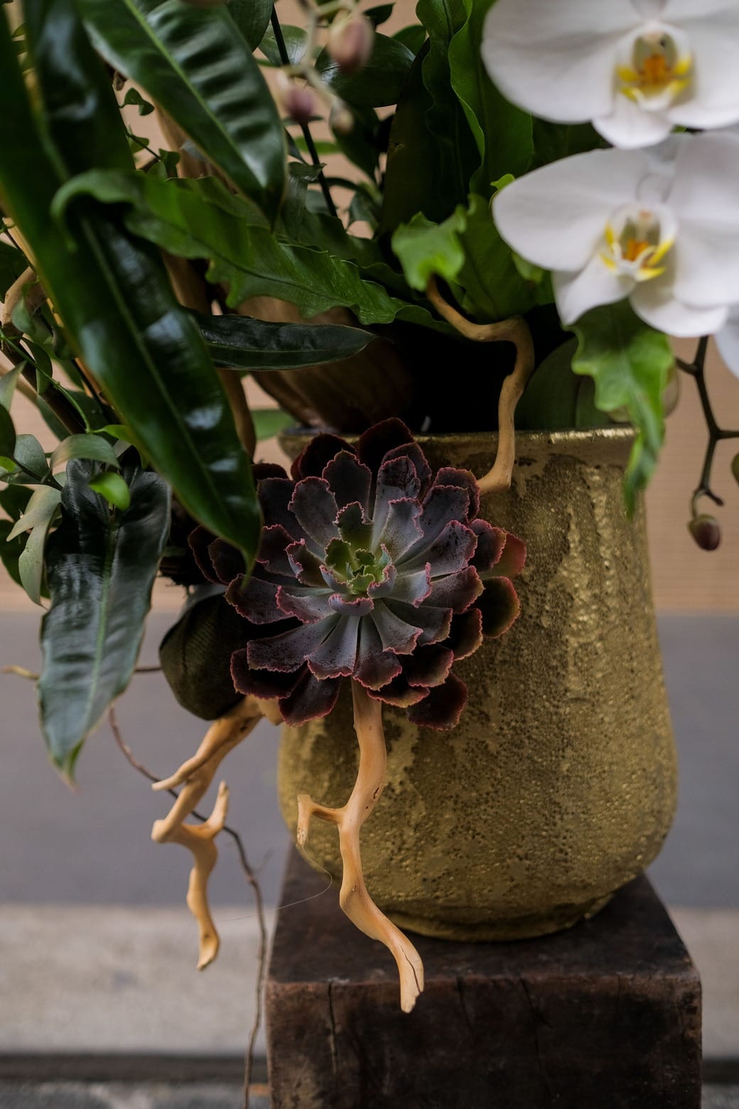 Ngọc Tĩnh Phúc 2