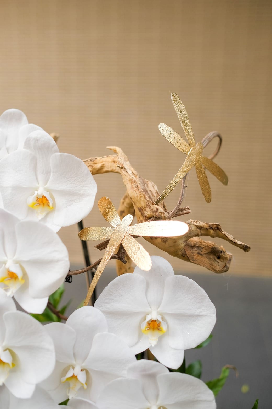 Ngọc Tĩnh Phúc 3