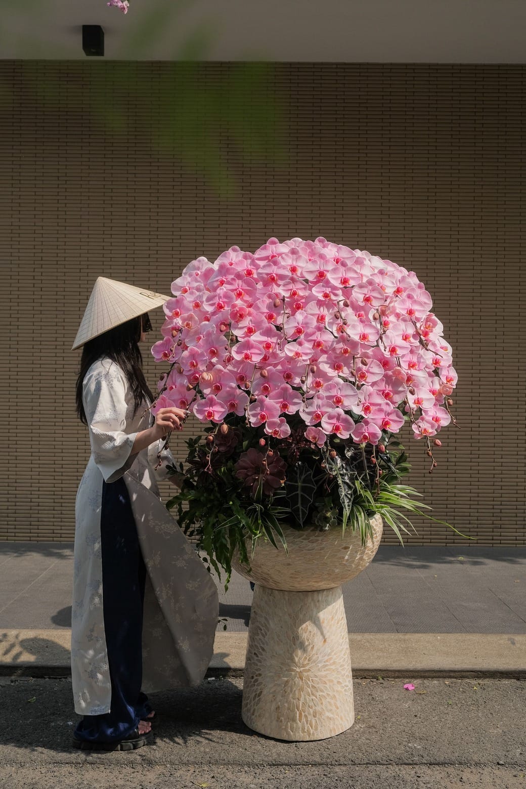 Đại Hồng Phúc 1