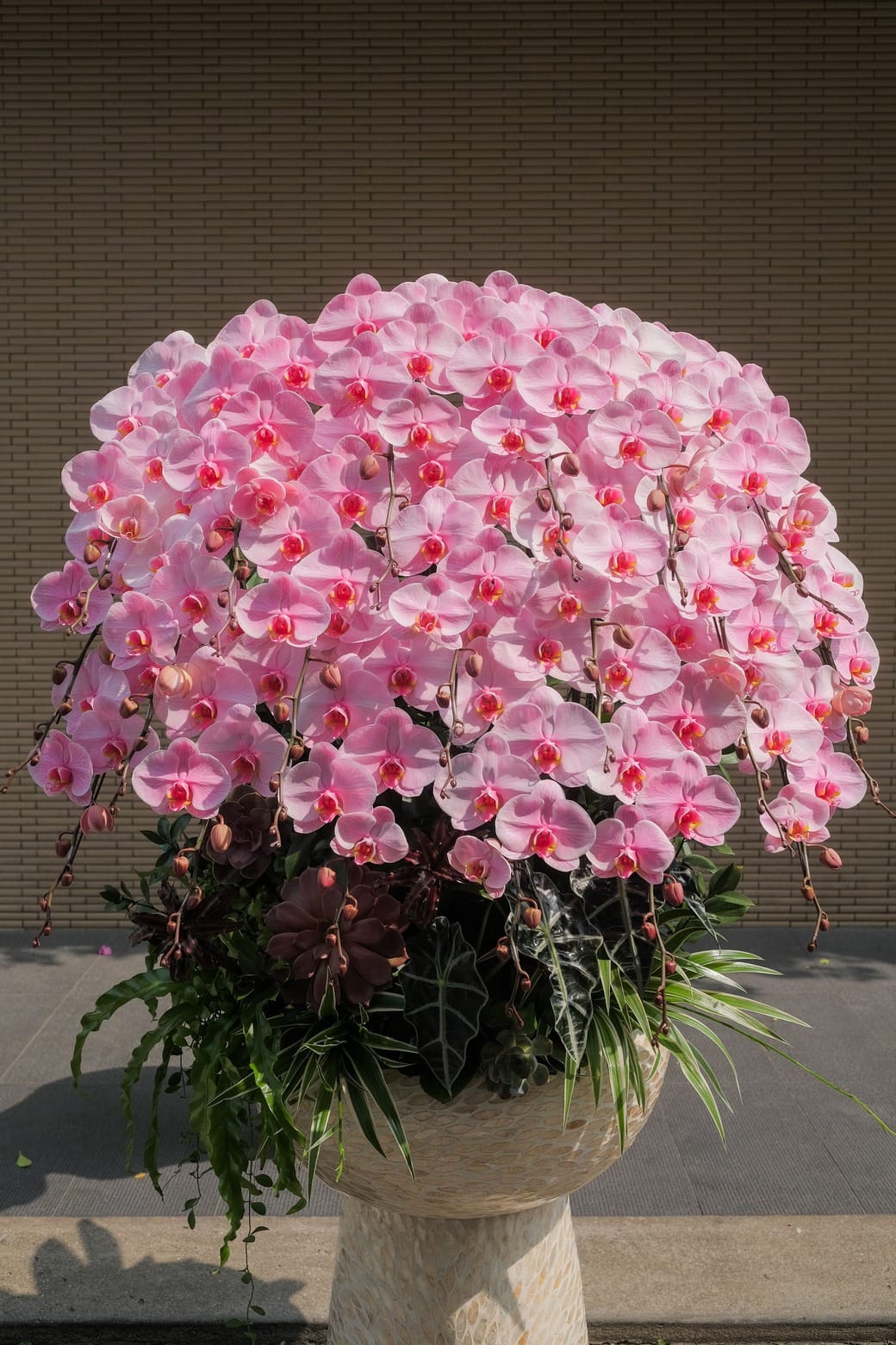 Đại Hồng Phúc 2