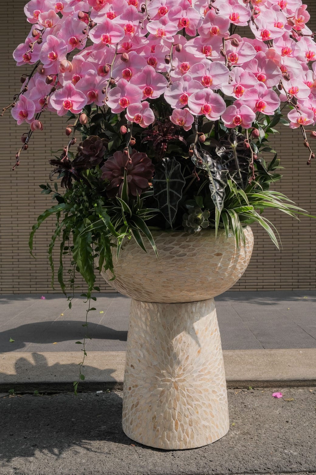 Đại Hồng Phúc 3