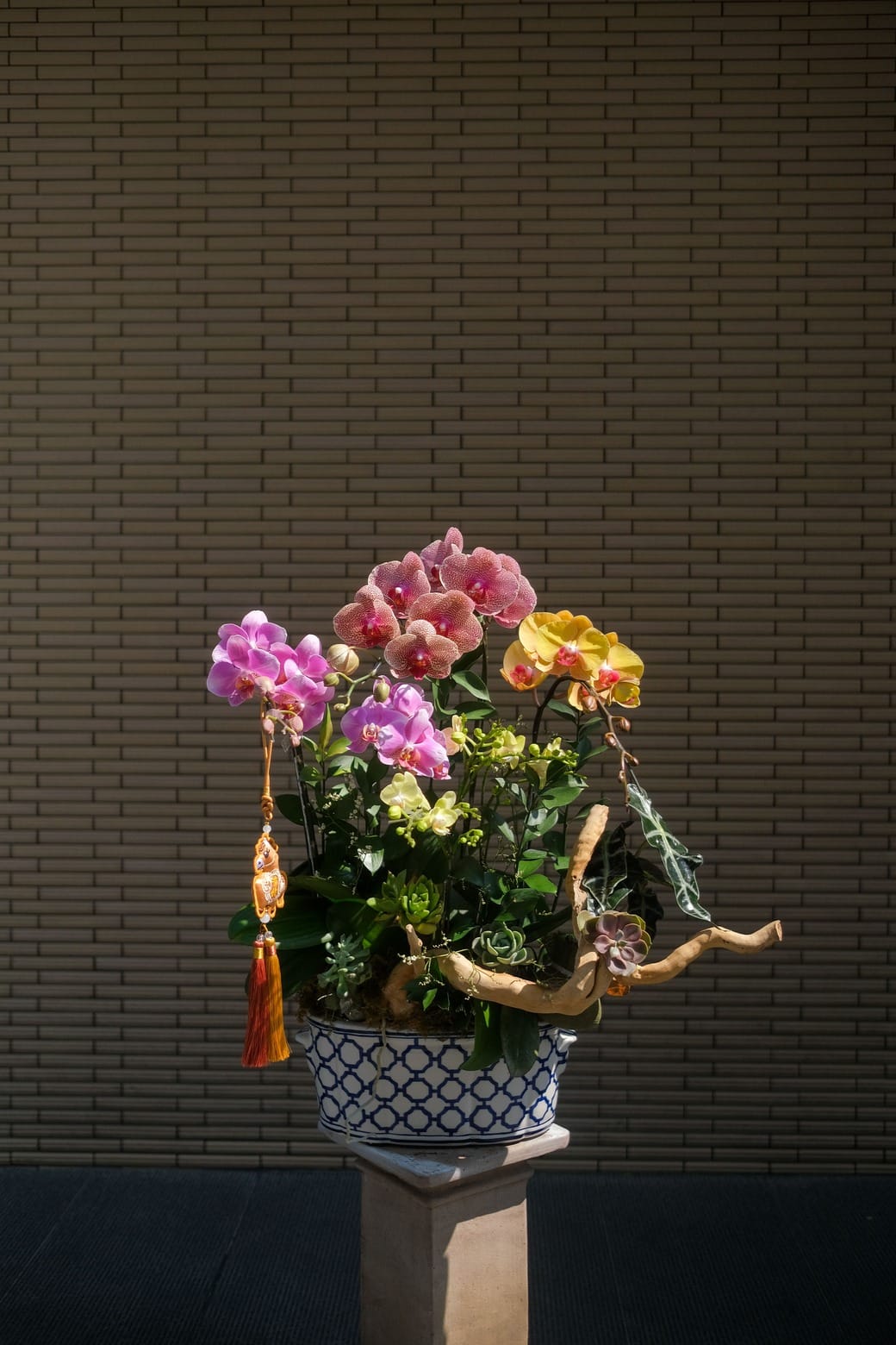 Vũ hội Xuân Ca 1