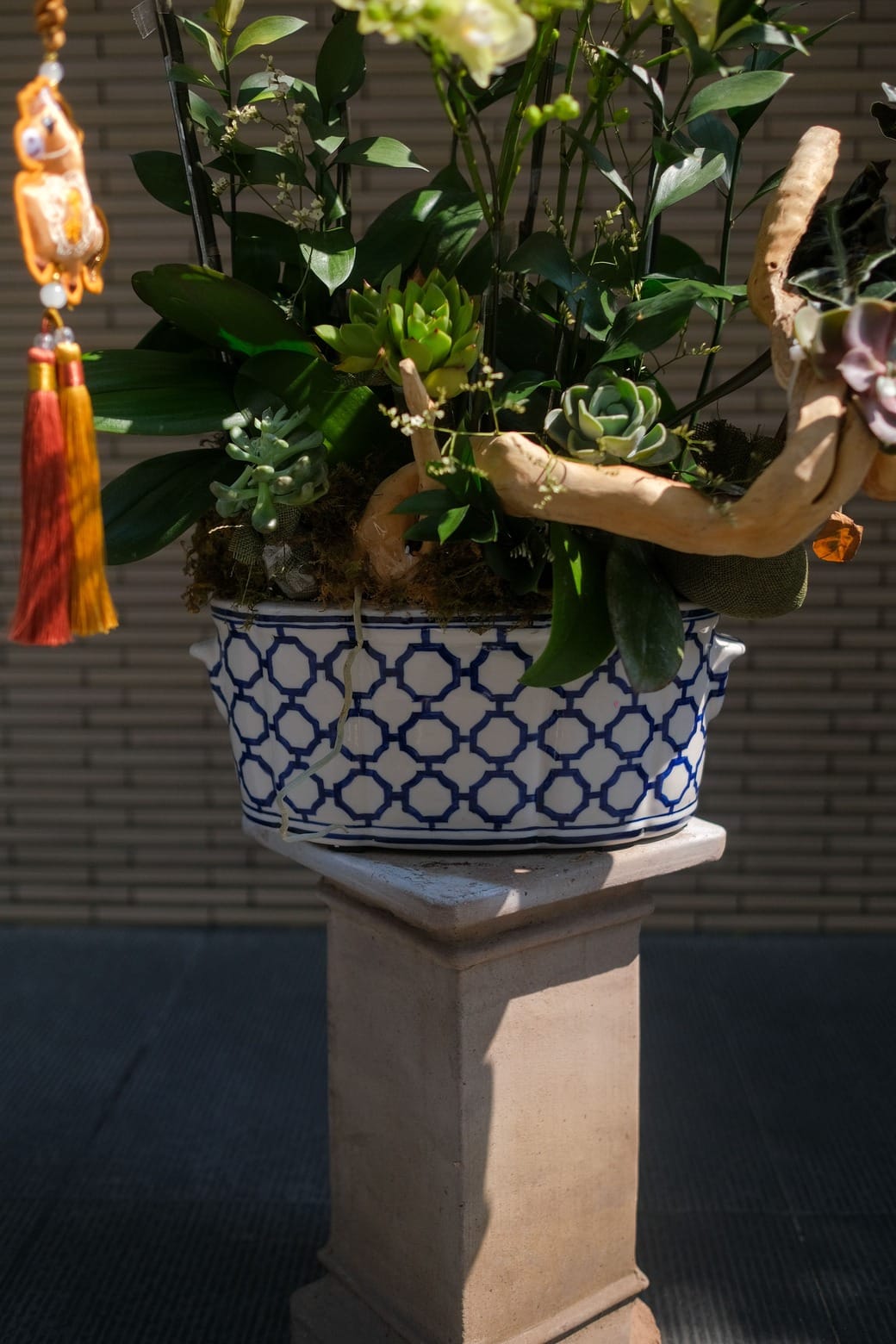 Vũ hội Xuân Ca 3