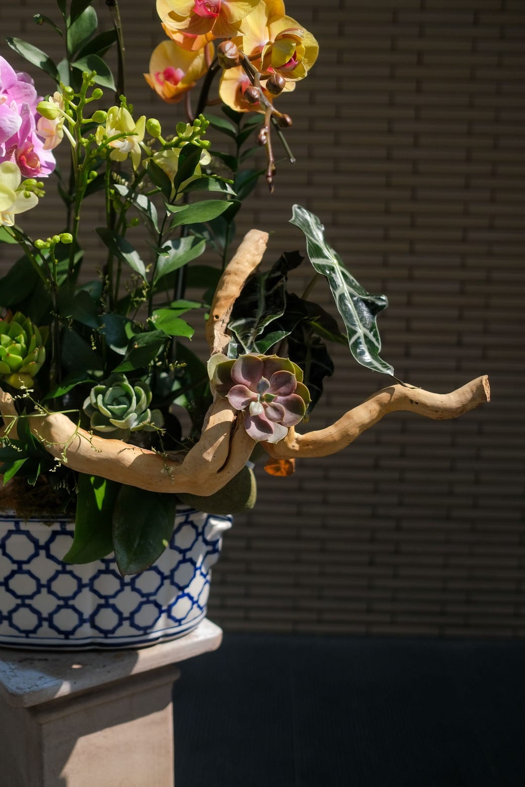 Vũ hội Xuân Ca 4