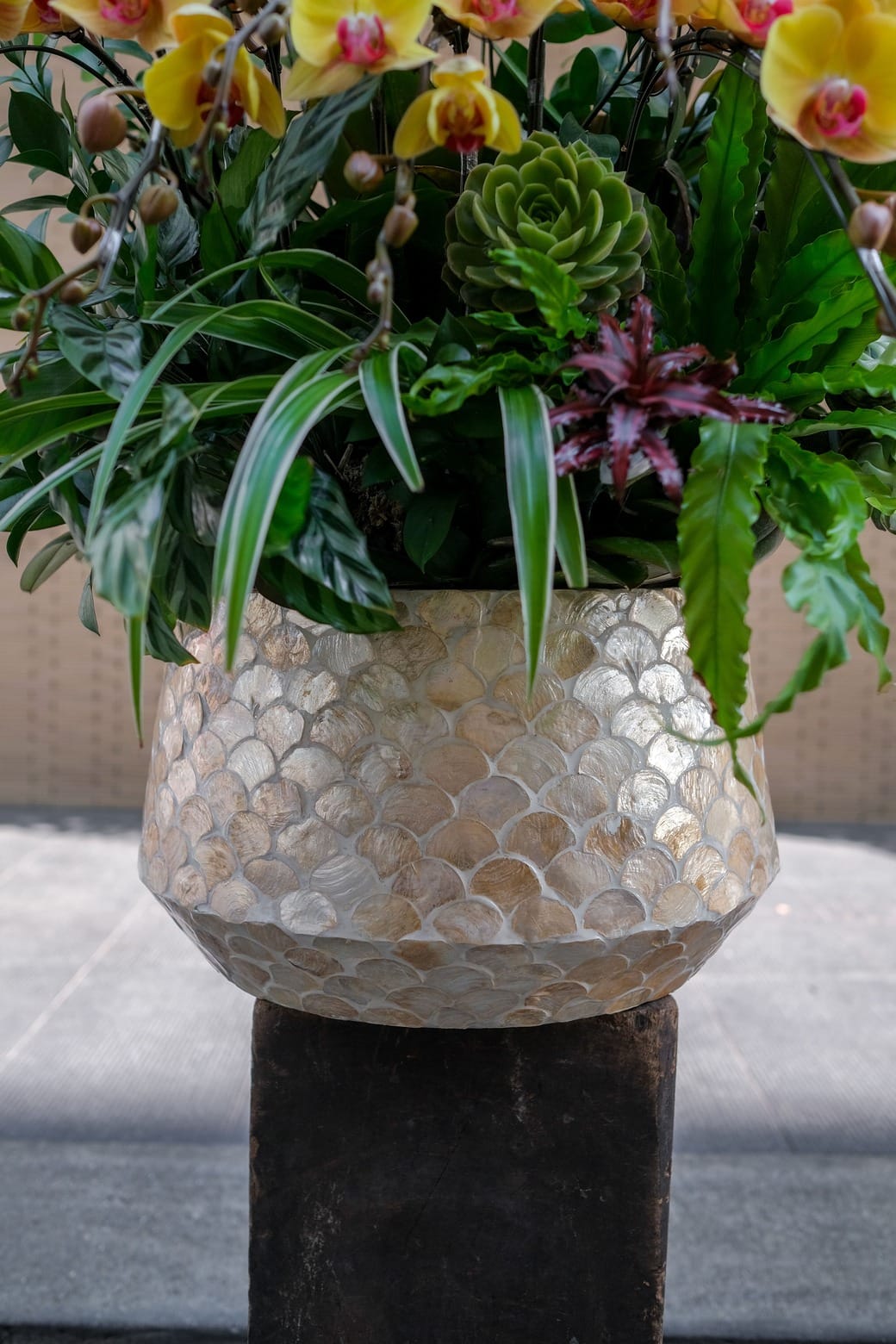 Kim Sắc Đón Lộc 3