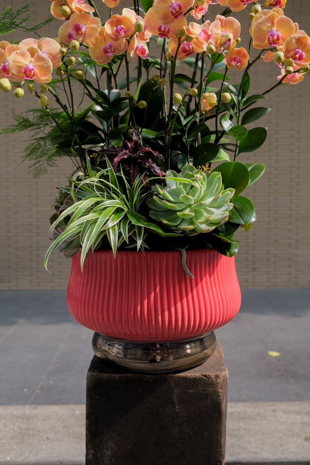 Lộc nở quanh nhà 3