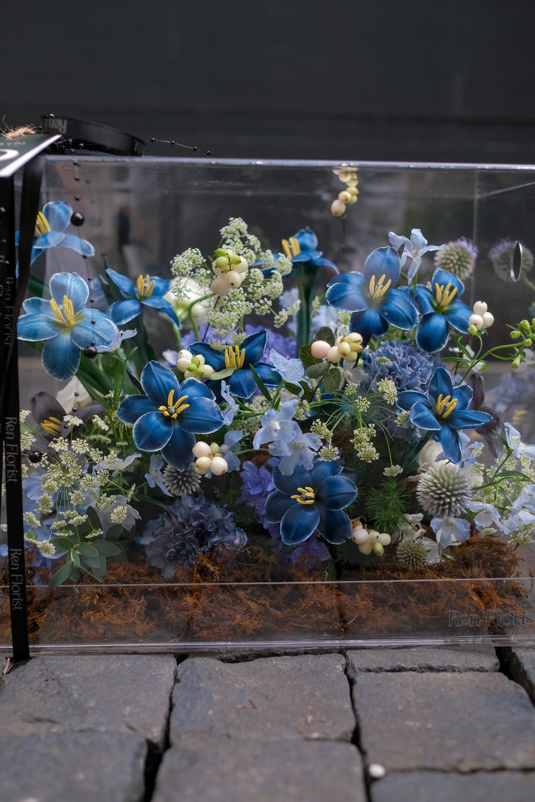 Midnight Herbarium 2