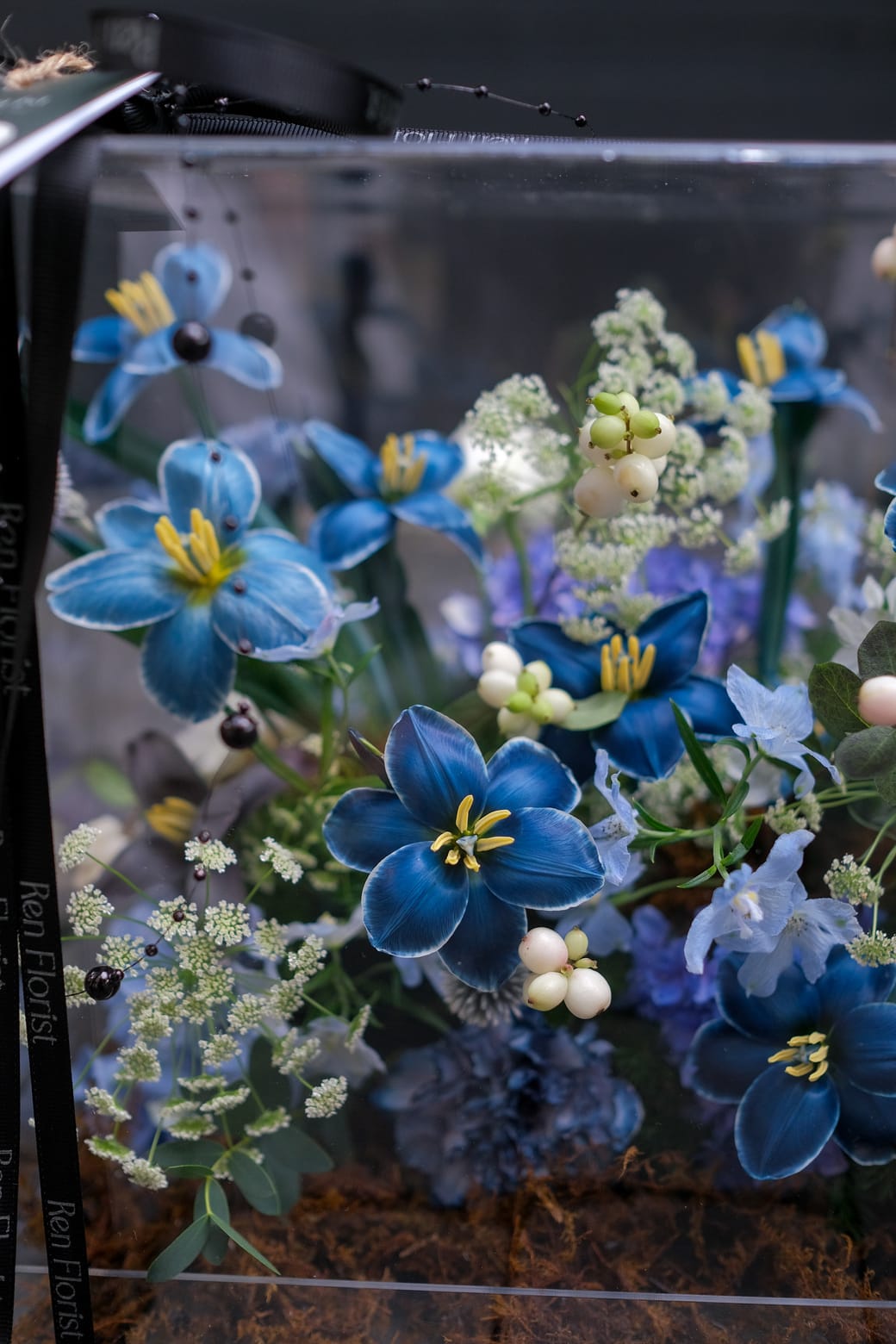 Midnight Herbarium 3