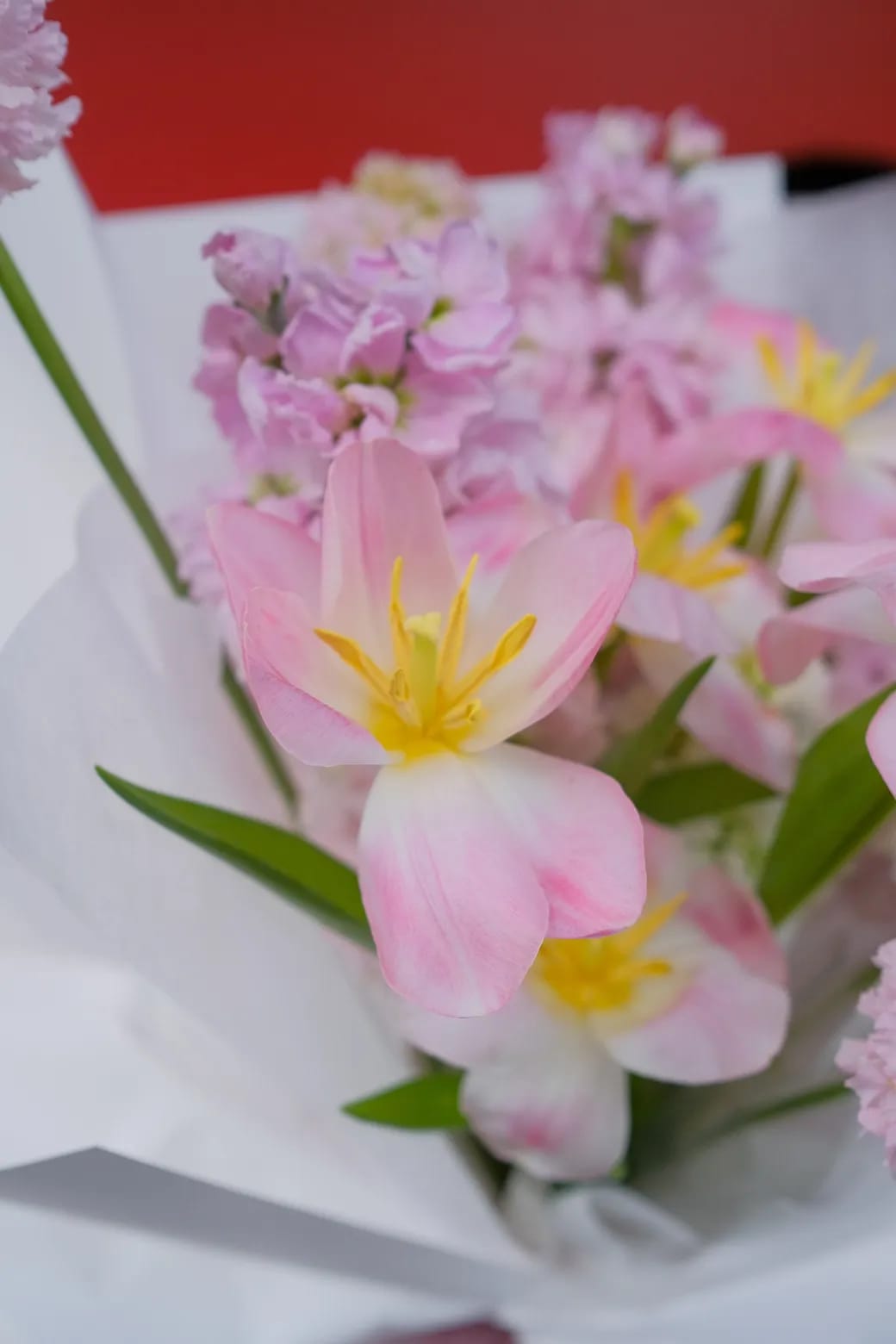 ban sao cua dscf4718webp