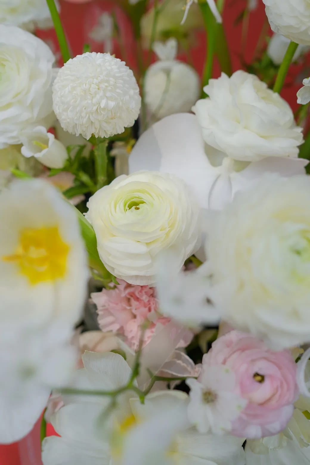 ban sao cua dscf4740webp