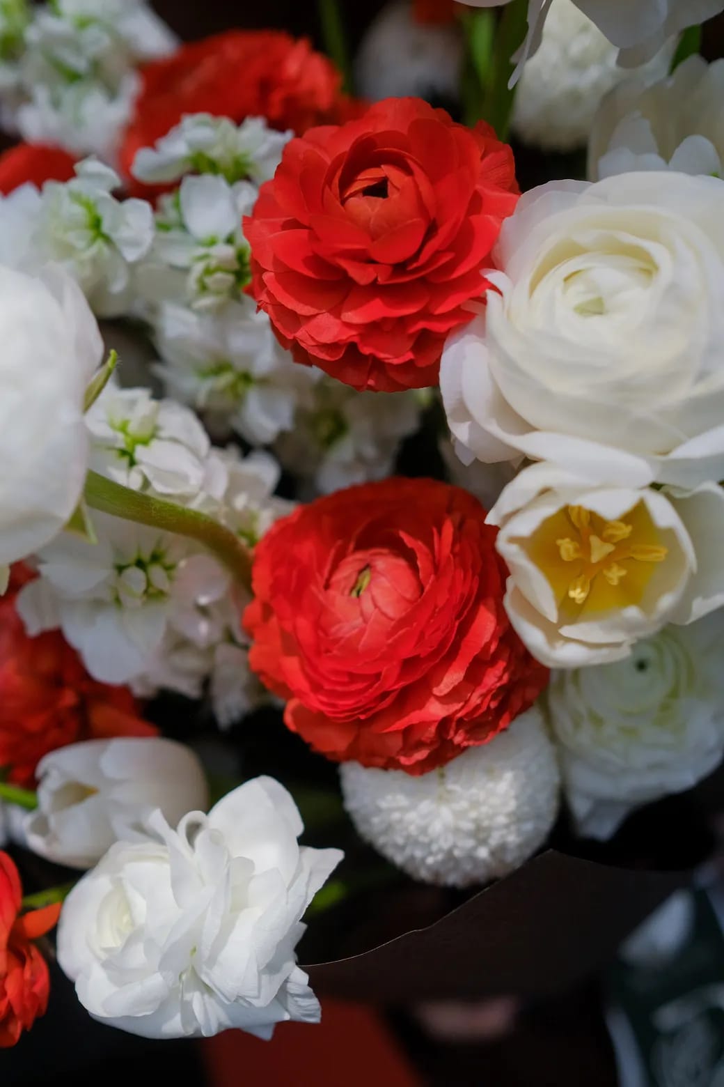 Love, Wrapped In Softness 2