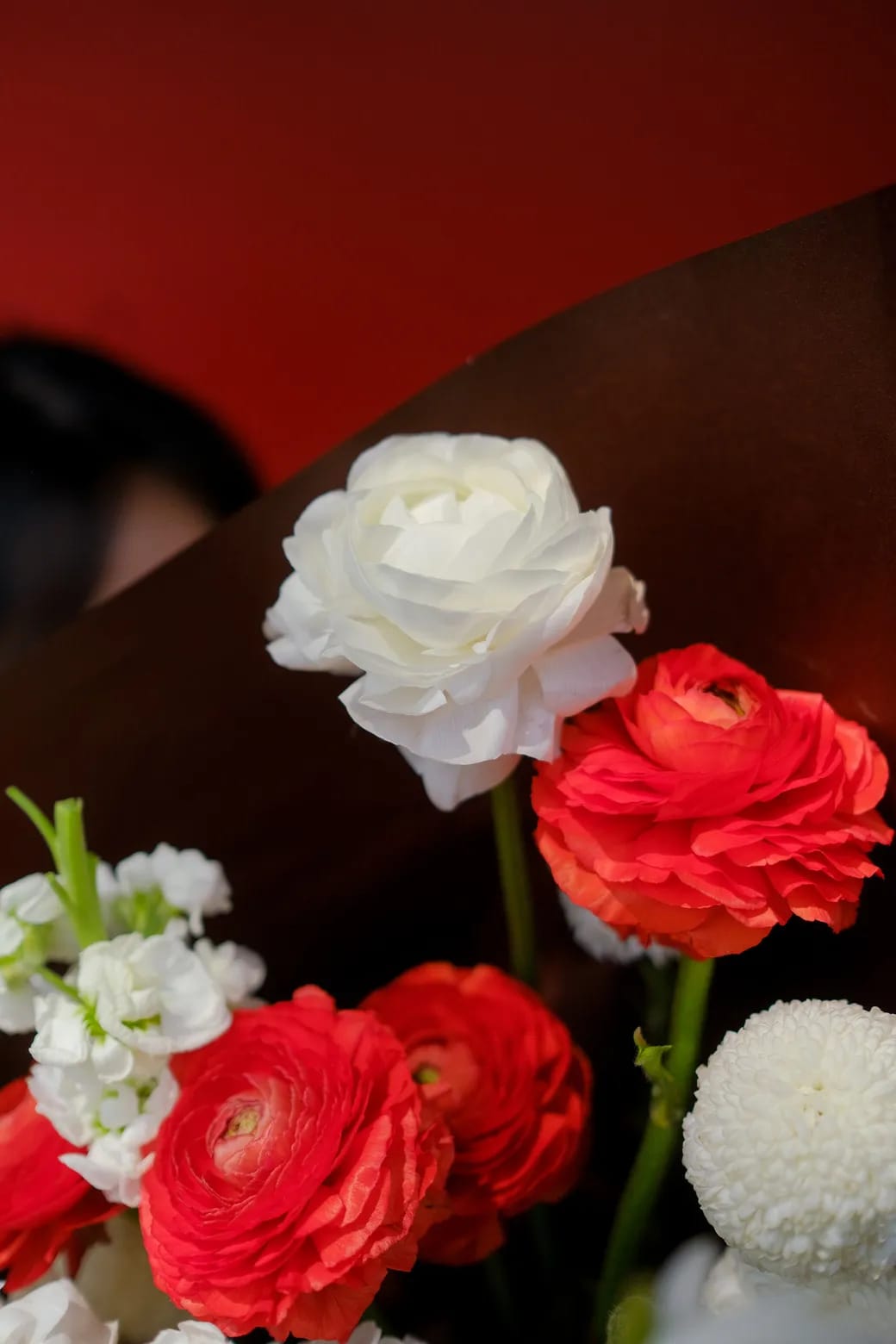 Love, Wrapped In Softness 3