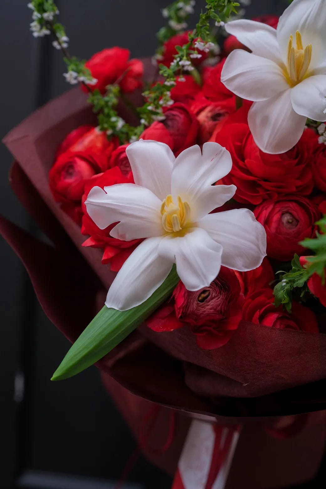 ban sao cua dscf5079webp