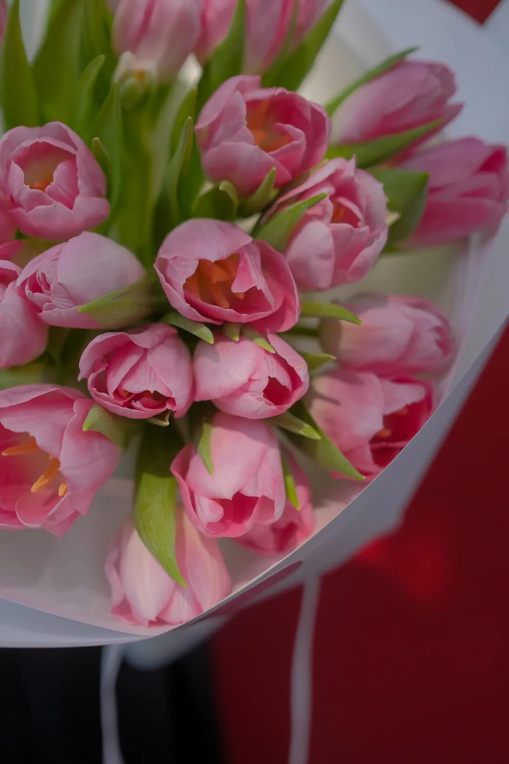 ban sao cua dscf5234 2webp