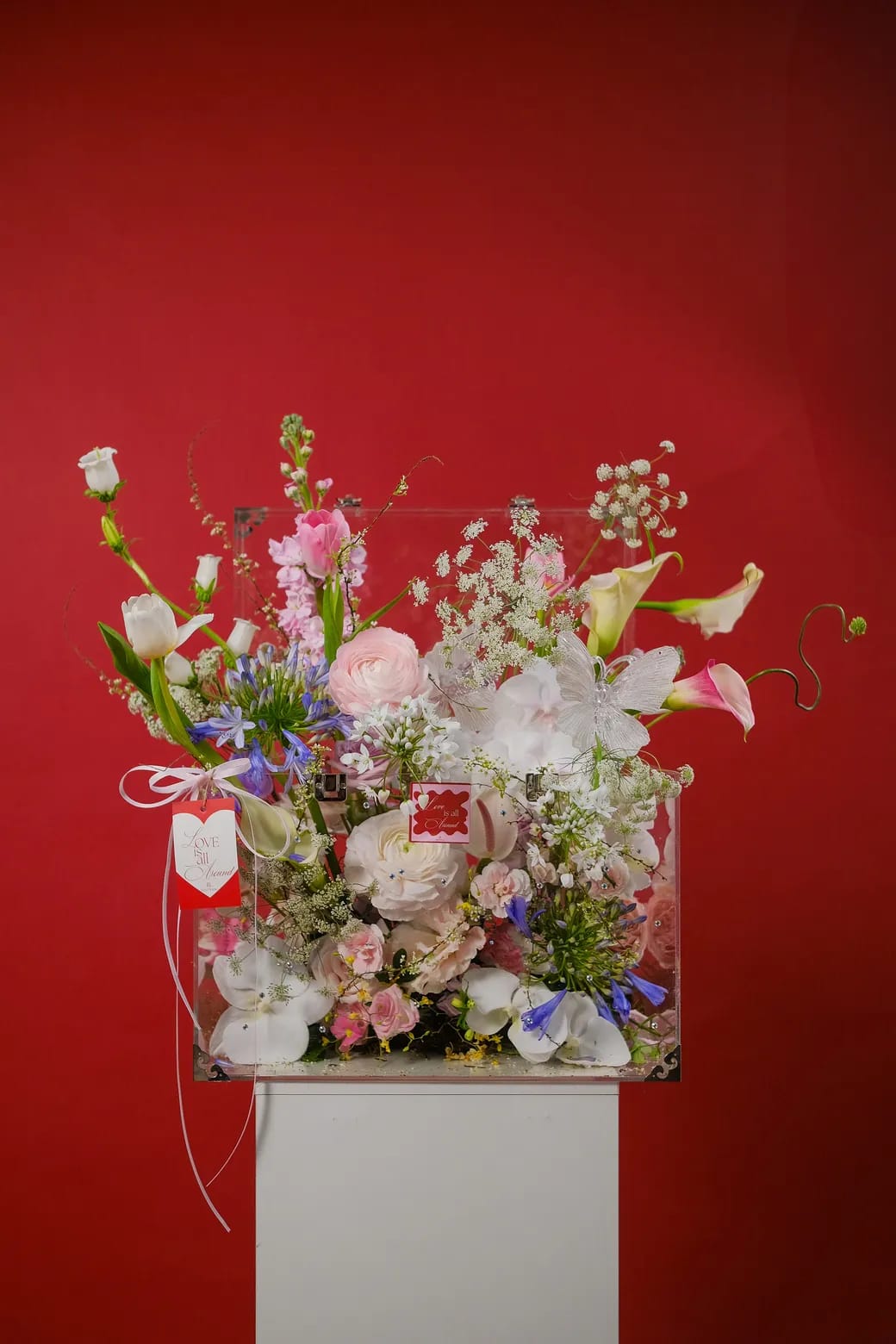 ban sao cua dscf6350webp