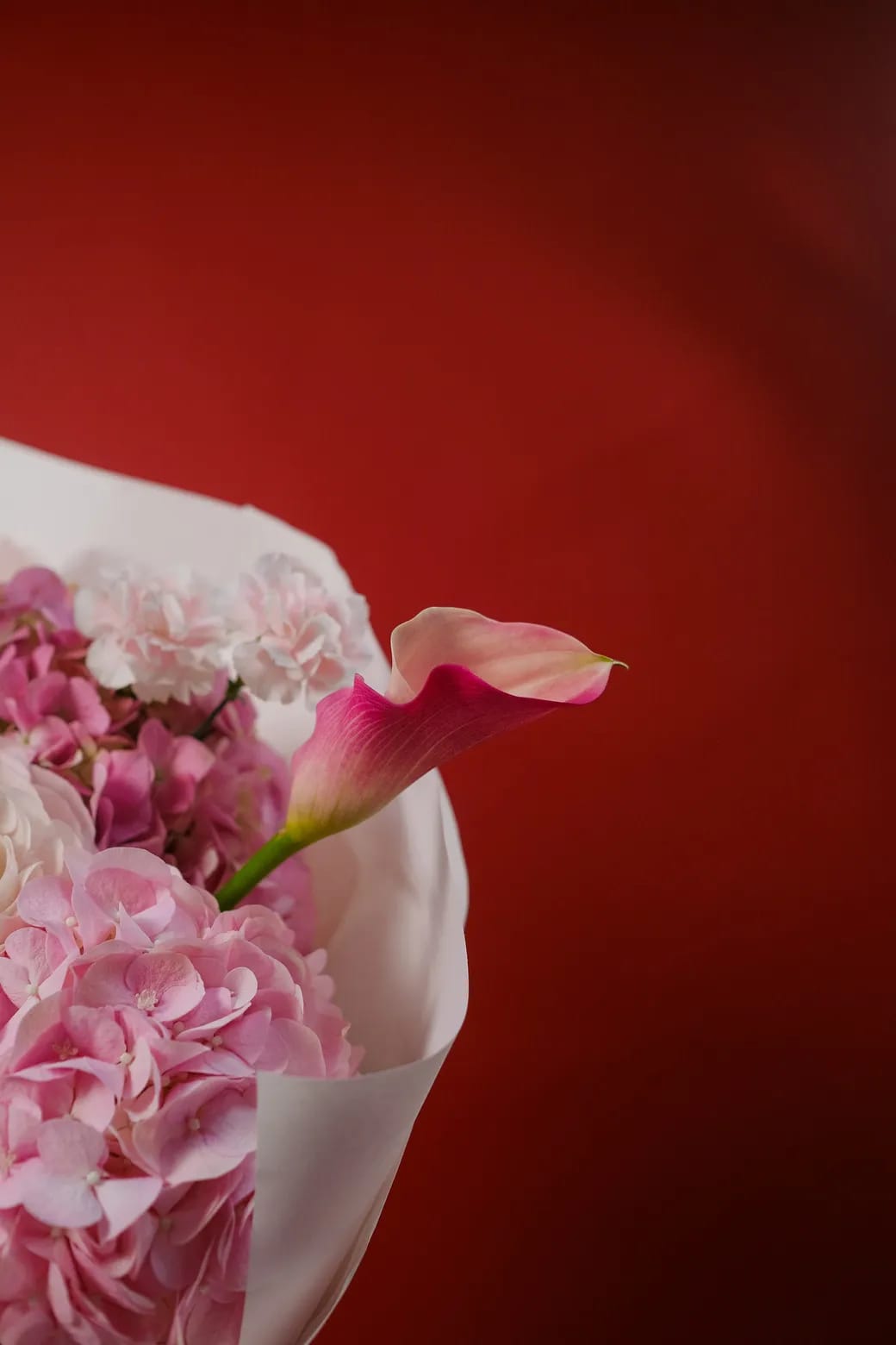 Timeless Affection 3