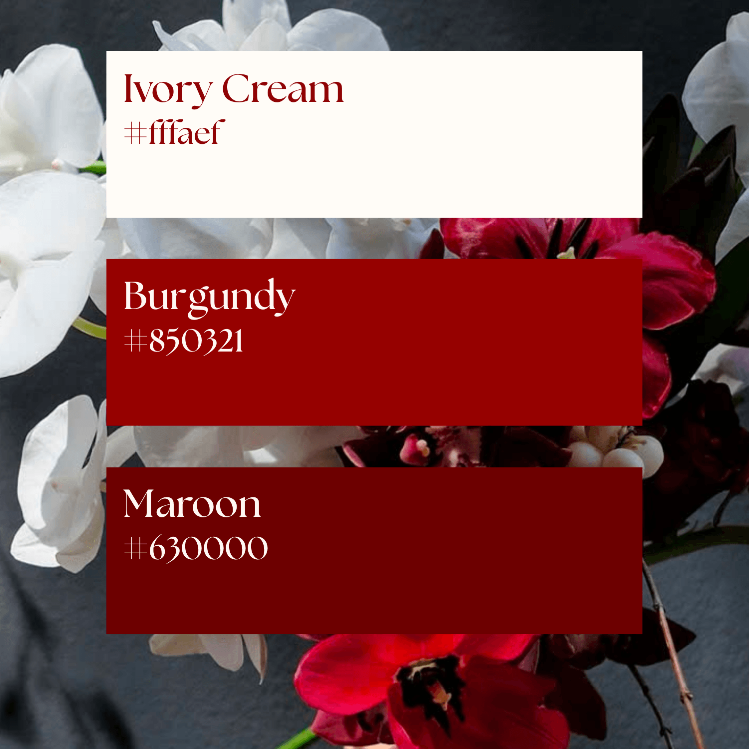 The Poetry of Contrast