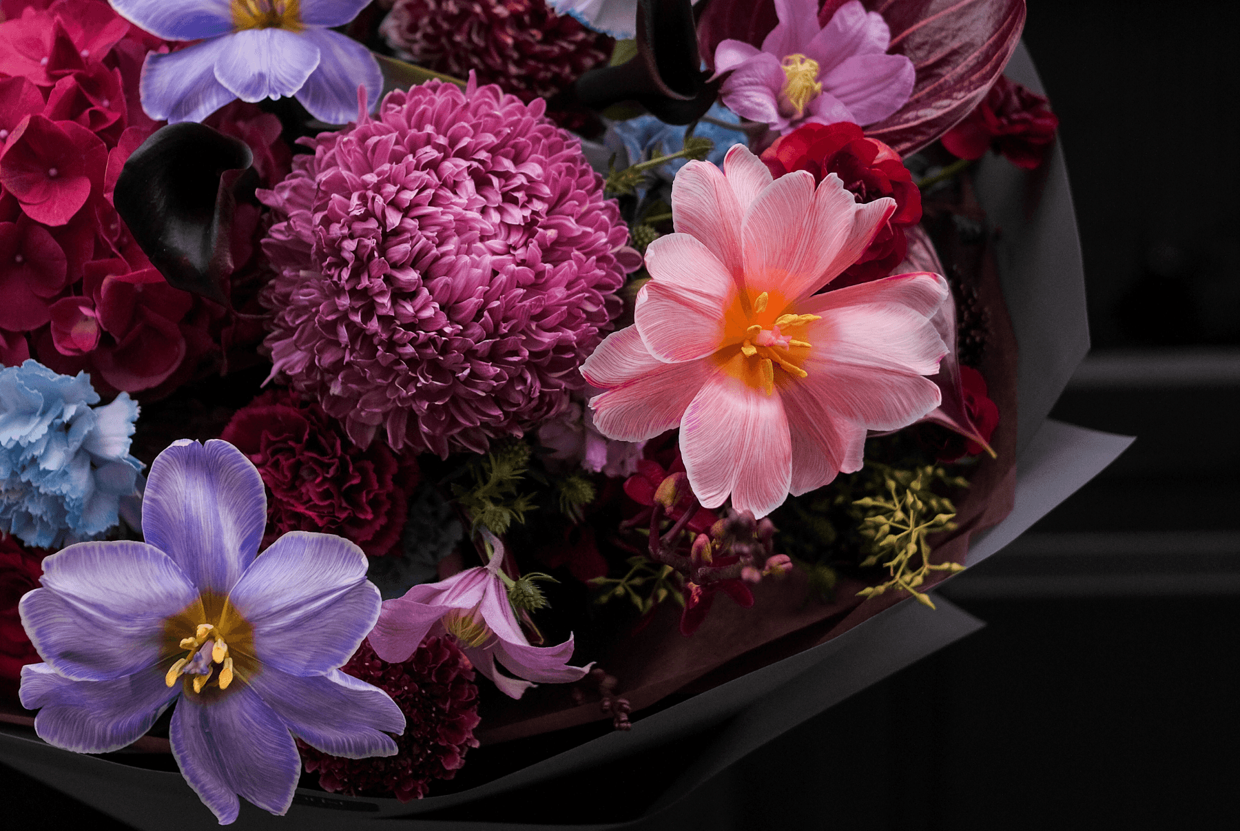 hero banner hoa bopng