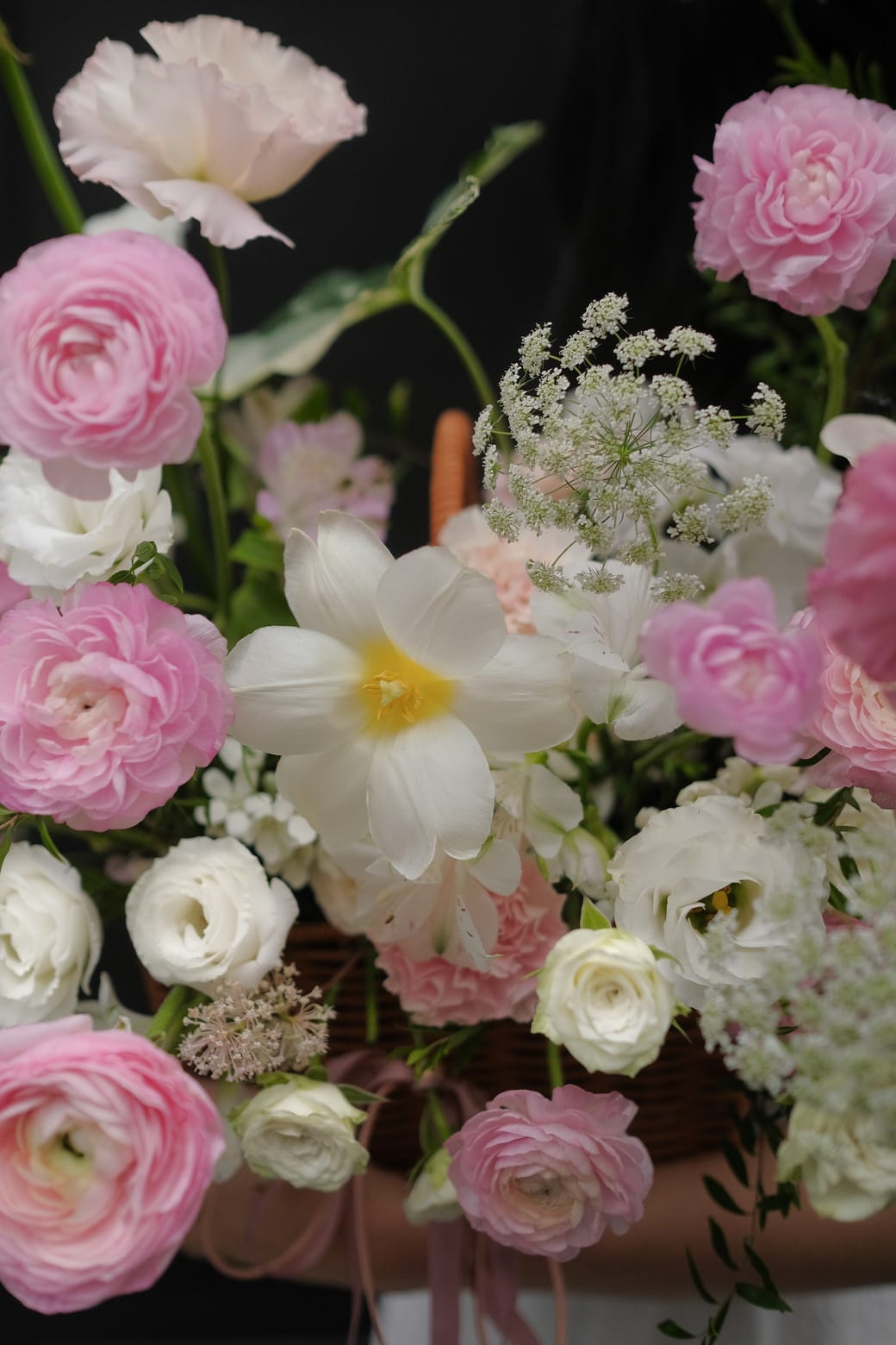 A Garden She Carries 2