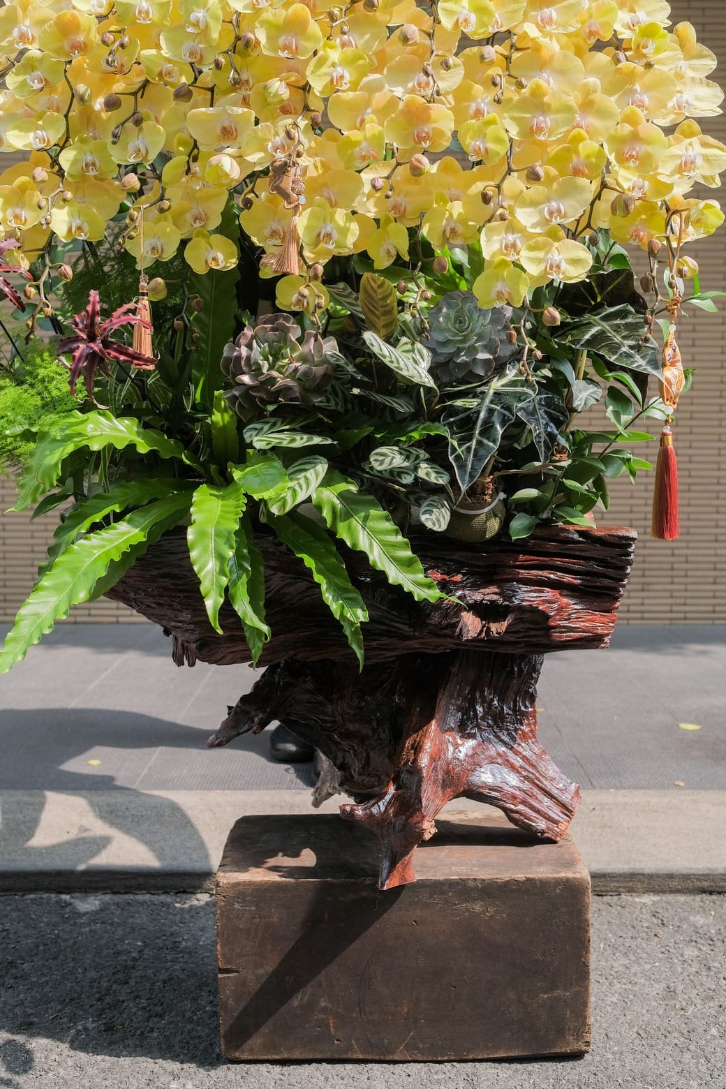 Kim Phức Thịnh Vượng 2