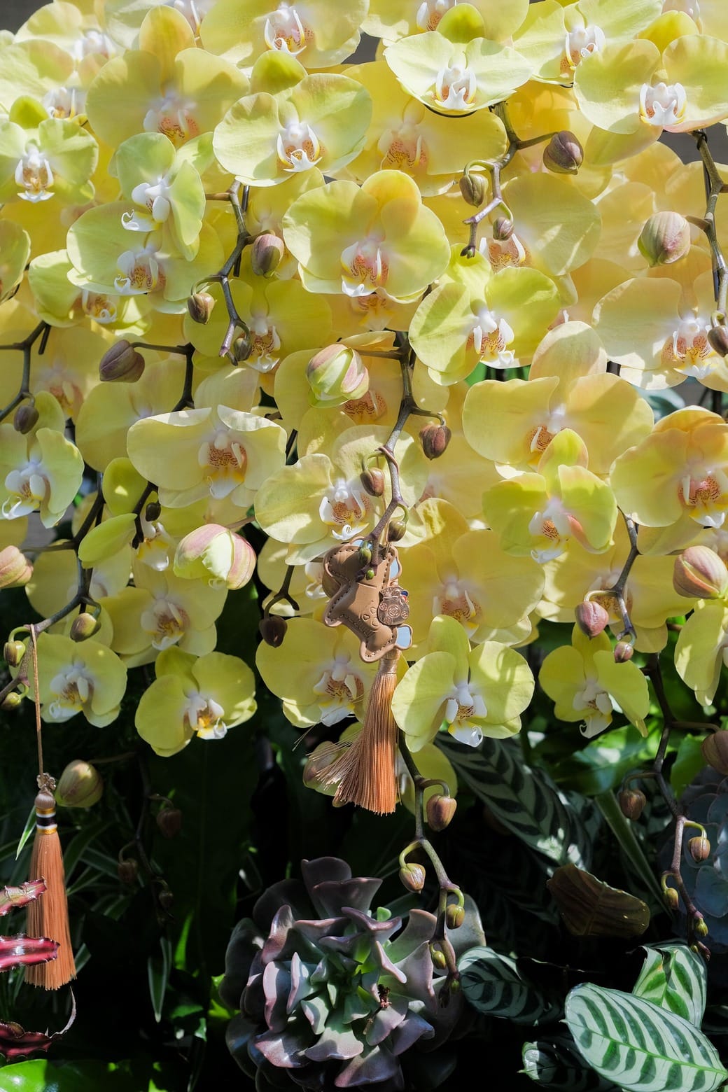 ban sao cua dscf4264jpg