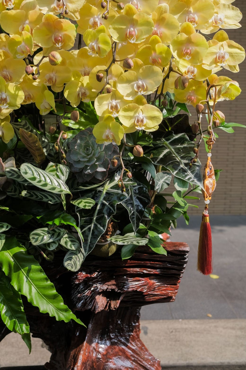 Kim Phức Thịnh Vượng 5