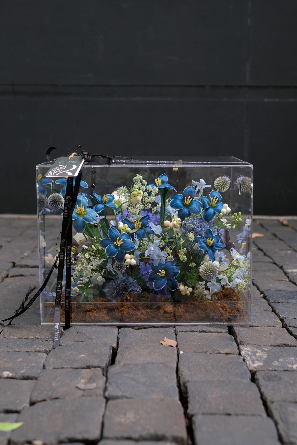 Midnight Herbarium 1