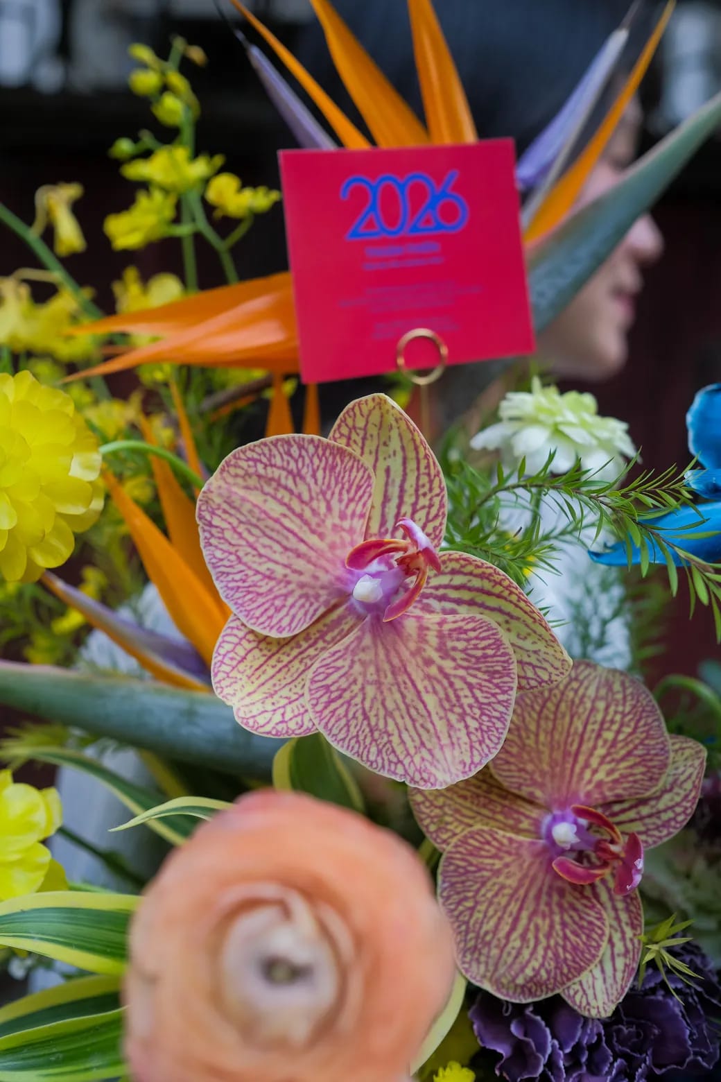 Vạn Hoa Thuận Mùa 3