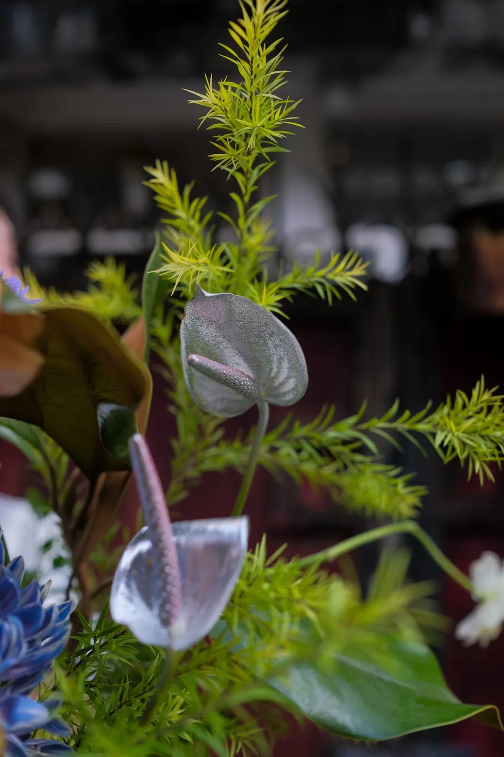 Vạn Hoa Thuận Mùa 4