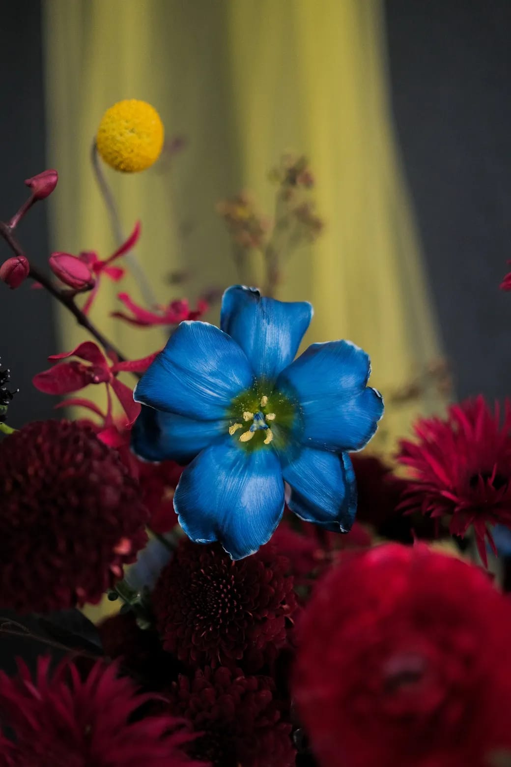 Phúc Mãn Đường 2