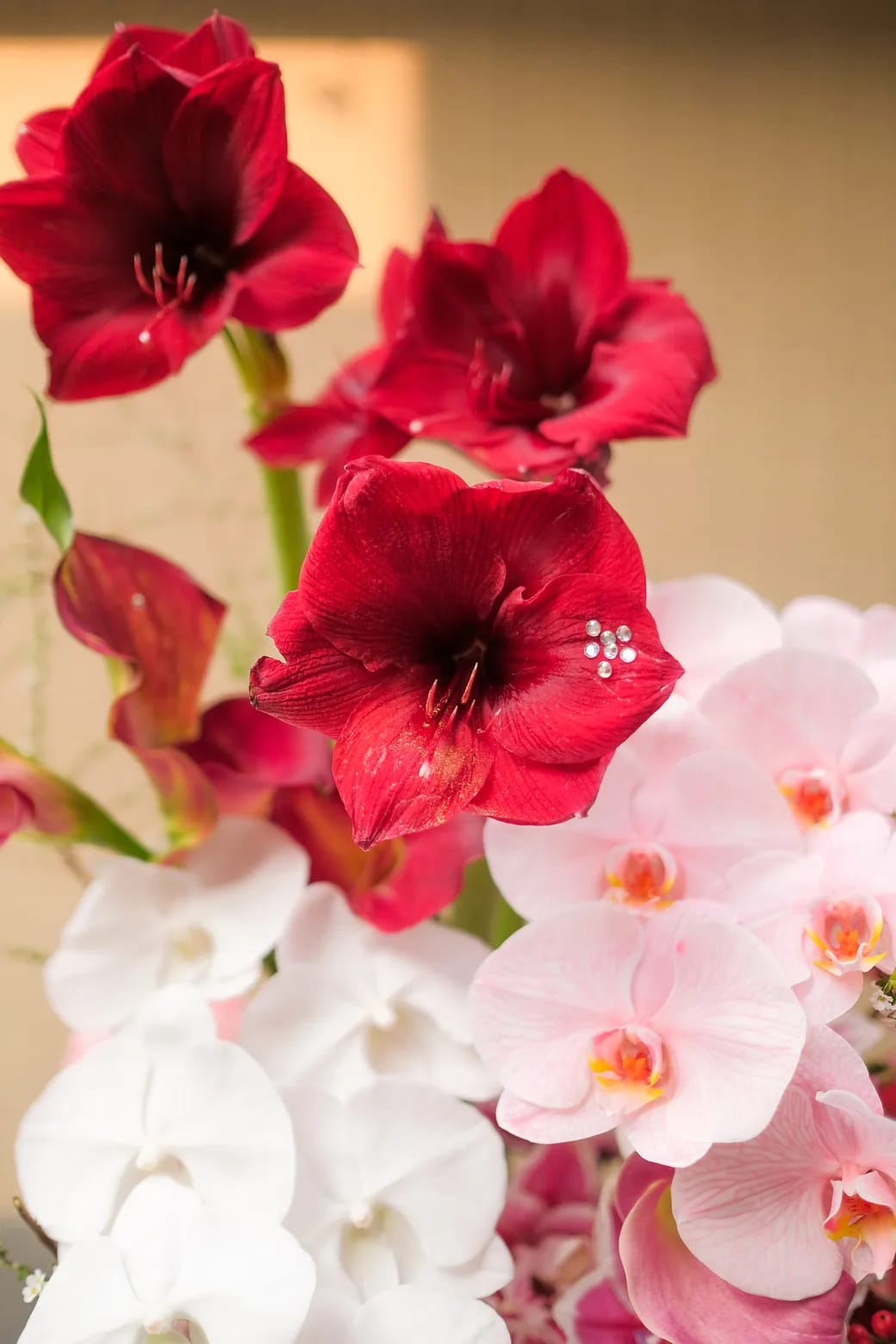 Hỷ Khí Đăng Hoa 3